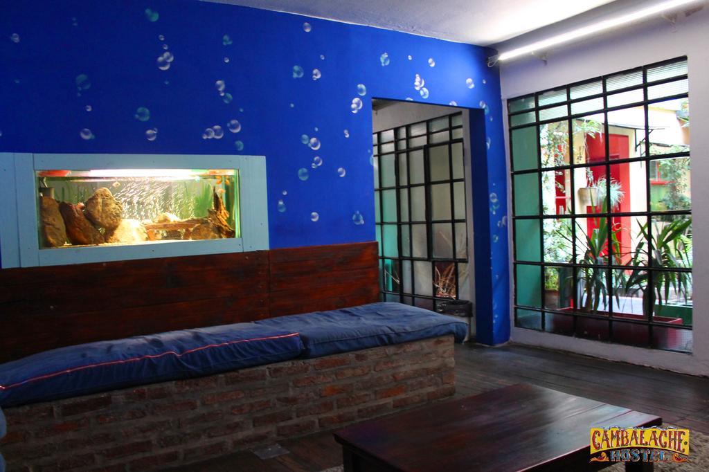 Cambalache Hostel Μπουένος Άιρες Δωμάτιο φωτογραφία